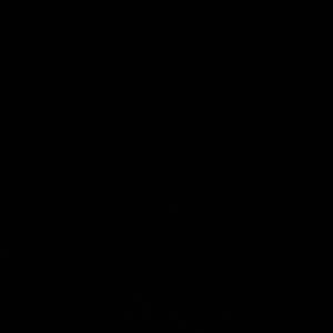 Meet your Posher, Melody